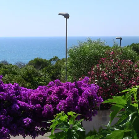 펜션 Bouganvillea 사르치투 쿠글리에리